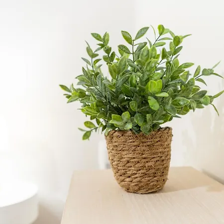 Isabel Charmoso E Bem Localizado Lägenhet Ribeira Brava