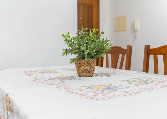 Isabel Charmoso E Bem Localizado 里贝拉布拉瓦